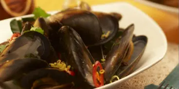 mussels