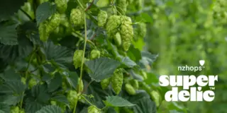 NZH_Superdelic_Hops_crop-320x160